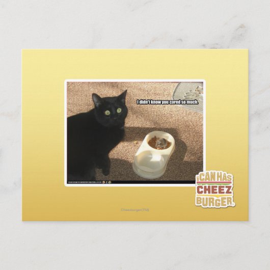 Ich weiß nicht, dass dir das wichtig ist postkarte (Vorderseite)