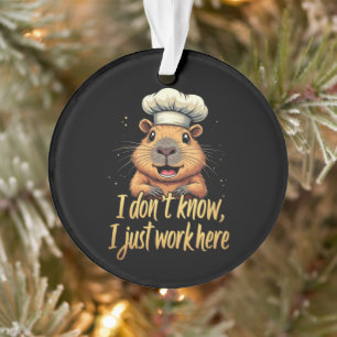 Ich weiß nicht, ich arbeite nur hier an einem sonn ornament