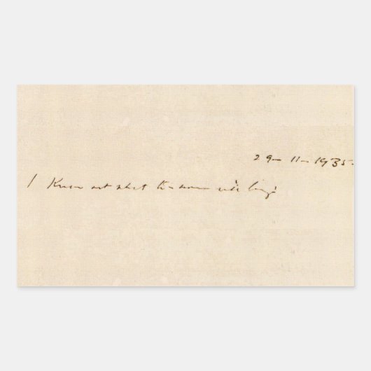 Ich weiß nicht, was morgen bringen wird rechteckiger aufkleber (Vorderseite)