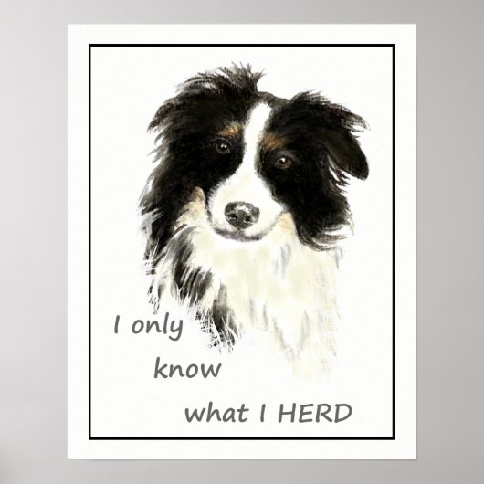 "Ich weiß nur, was ich HERDE" Zitat "Border Collie Poster (Vorne)