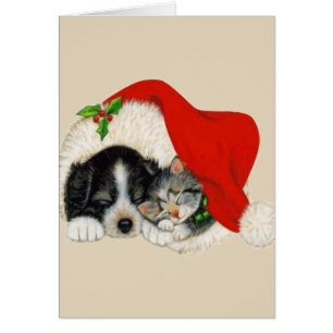 Ich weiß, wir sind Gegensätze Hund/Katze Weihnacht