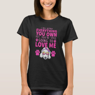 Ich werde alles zerstören, was du besitzt, aber du T-Shirt