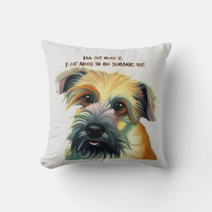 Ich werde darüber hinwegkommen, ich muss einfach e kissen