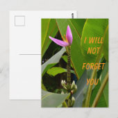 Ich werde das christliche Versprechen nicht verges Postkarte (Vorne/Hinten)
