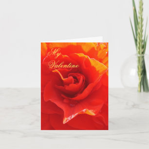 Ich werde dich bis zum... Liebe geben. Valentine V Feiertagskarte