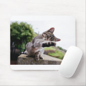 Ich werde dich fangen: Funny Cat Mousepad (Mit Mouse)