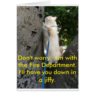 Ich werde dich gleich hinunterhalten.