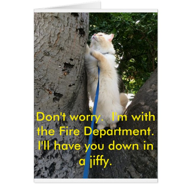 Ich werde dich gleich hinunterhalten. (Vorne)