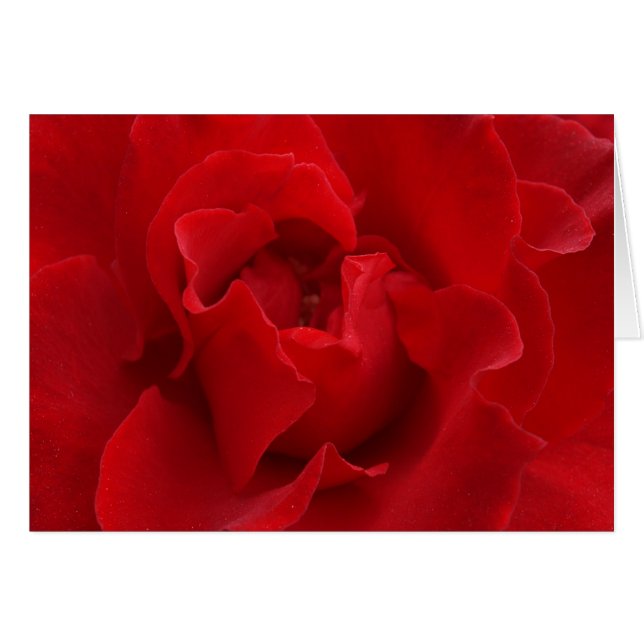 Ich werde dich immer Liebe geben (Vorderseite (Horizontal))