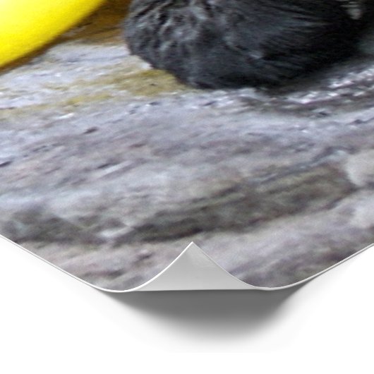 Ich werde dich immer Liebe geben Poster (Ecke)