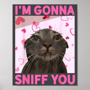 Ich werde dich lustig beschnüffeln Brainrot Katzen Poster