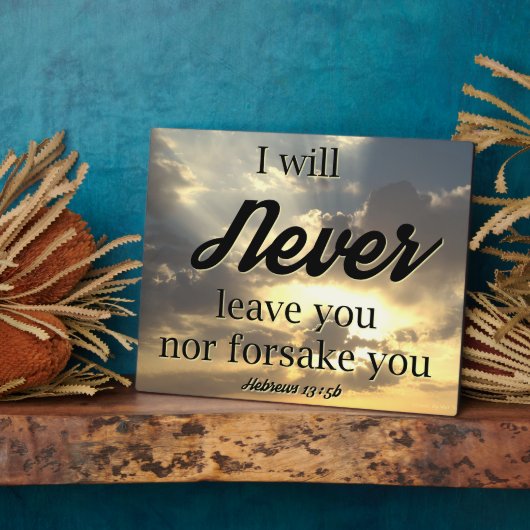 Ich werde dich nie einfach aufgeben fotoplatte (Seite)