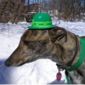 "Ich werde dich rennen!" Karte