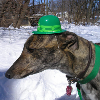 "Ich werde dich rennen!" Karte