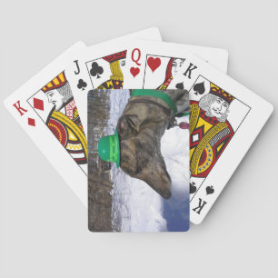 Ich werde dich rennen!" spielkarten