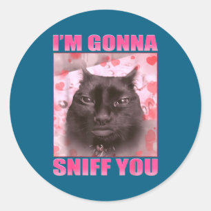 Ich werde dich schnüffeln Funny Cats Meme Frauen M Runder Aufkleber