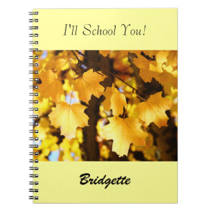 Ich werde dich schulieren! Notizbücher nach dem Mu