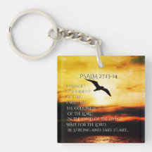 Ich werde die Güte des Herrn Psalm 27:13-14 sehen