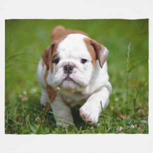 ICH WERDE EIN "LEDERNER NACKS" SEIN FLEECEDECKE