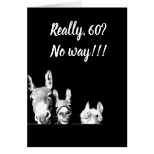 **ICH WERDE EIN ONKEL DES SPONKEYS SEIN** SIE KÖNN