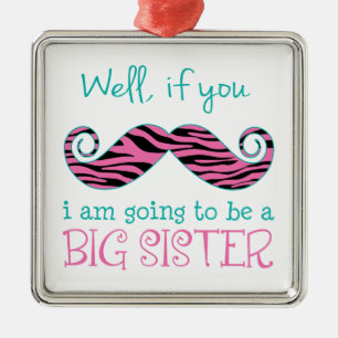 Ich werde eine große Schwester sein Silbernes Ornament