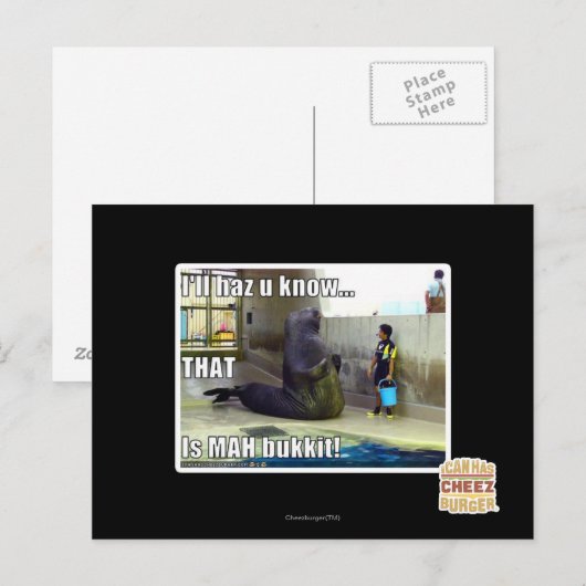 Ich werde es wissen postkarte (Vorne/Hinten)