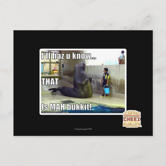 Ich werde es wissen postkarte (Vorderseite)