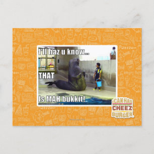 Ich werde es wissen postkarte