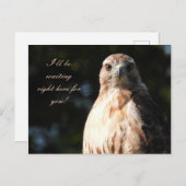 Ich werde für Sie gewartet - Red Tail Hawk Stare Postkarte (Vorne/Hinten)