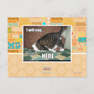 Ich werde hier Nickerchen machen Postkarte