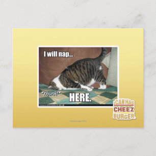Ich werde hier Nickerchen machen Postkarte