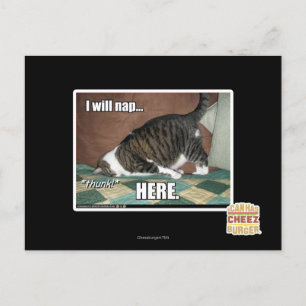 Ich werde hier Nickerchen machen Postkarte