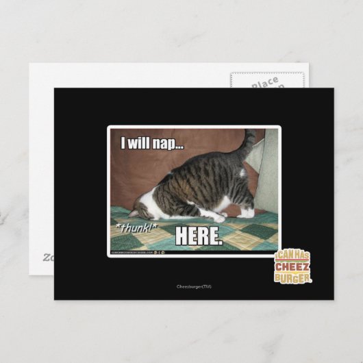 Ich werde hier Nickerchen machen Postkarte (Vorne/Hinten)