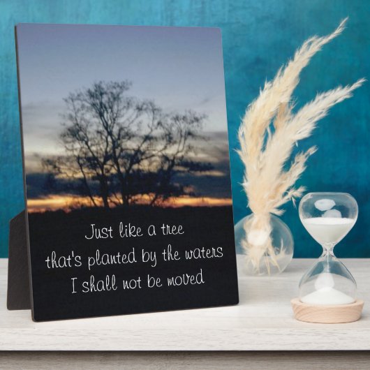 Ich werde kein Baumfoto übertragen. Fotoplatte (Seite)