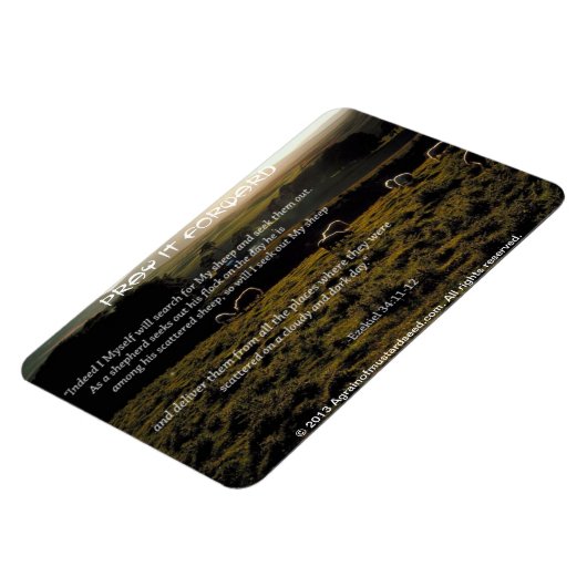 Ich werde mein Bibelangebot für Schafe suchen Magnet (Linke Seite)