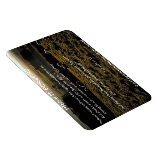 Ich werde mein Bibelangebot für Schafe suchen Magnet (Rechte Seite)