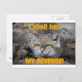 Ich werde meine Einnahmen haben! Postkarte (Vorne/Hinten)