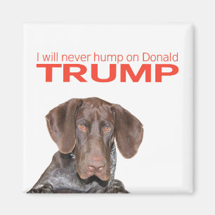 Ich werde nie auf Donald Trump herumhüpfen! Magnet
