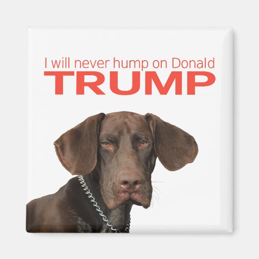 Ich werde nie auf Donald Trump herumhüpfen! Magnet (Vorne)