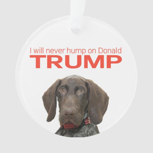 Ich werde nie auf Donald Trump herumhüpfen! Ornament (Vorderseite)