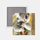 Ich werde schützen_ magnet (Vorderseite/Rückseite)