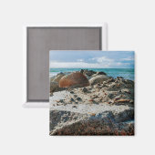 Ich will nicht viel ich will nur Meer Magnet (Vorderseite/Rückseite)