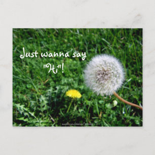 Ich will nur "Hi" sagen! Dandelions Greetings Postkarte