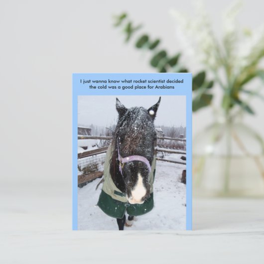 Ich will nur wissen, was Rakete sci... Postkarte (Stehend Vorderseite)