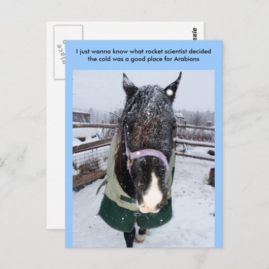 Ich will nur wissen, was Rakete sci... Postkarte (Vorne/Hinten)