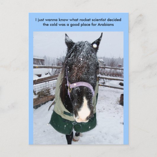 Ich will nur wissen, was Rakete sci... Postkarte (Vorderseite)