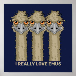 Ich wirklich Liebe Emus Poster