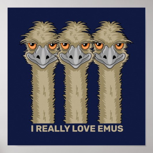 Ich wirklich Liebe Emus Poster (Vorne)