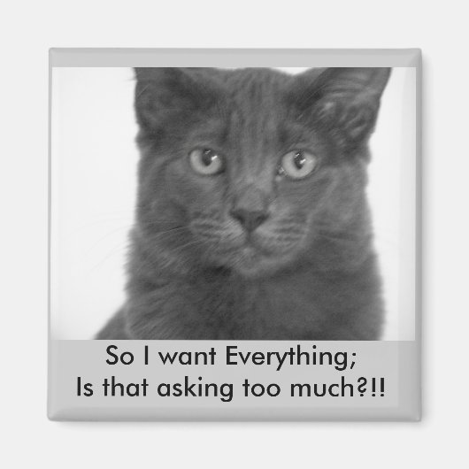 Ich wollte alles Magnet (Vorne)