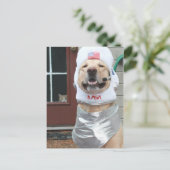 Ich Wollte, Bilder zu machen Postkarte (Stehend Vorderseite)